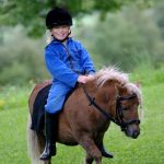 Ponyreiten - Urlaub mit der Familie - Österreich - Schartlhof