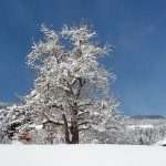 Winterlandschaft Schartlhof