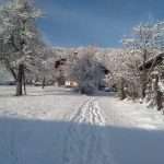 Schartlhof - Winterurlaub auf dem Bauernhof - Flachau - Salzburger Land