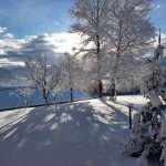 Schartlhof - Winterurlaub auf dem Bauernhof - Flachau - Salzburger Land