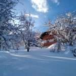 Schartlhof - Winterurlaub auf dem Bauernhof - Flachau - Salzburger Land